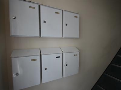 Picture 8